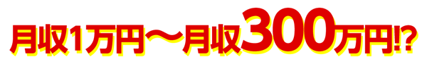 月収1万円~月収300万円!?